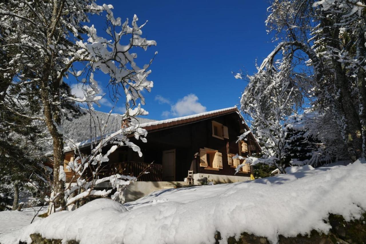 Вилла Sous Les Ecotagnes Les Villards-sur-Thones Экстерьер фото